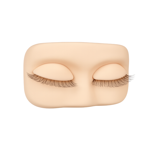 Modèle d’entraînement en silicone
